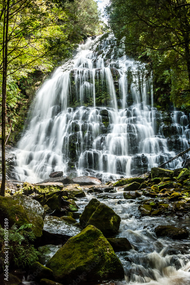Nelson Falls- Tasmania Nelson Falls- Tasmania