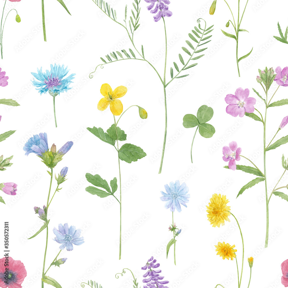 Watercolor hand drawn seamless pattern with wild meadow flowers (cornflower, poppy, cow vetch, dandelion, celandine) isolated on white background Watercolor hand drawn seamless pattern with wild meadow flowers (cornflower, poppy, cow vetch, dandelion, celandine) isolated on white background