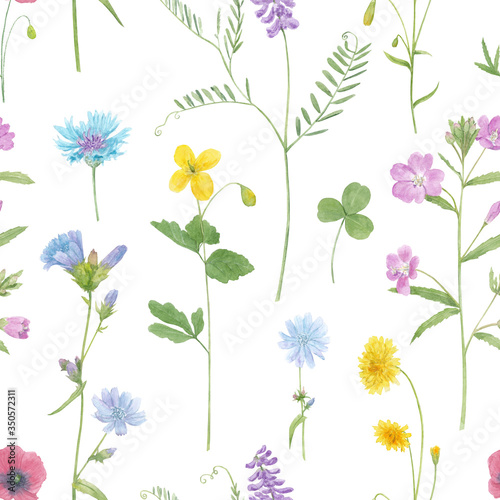 Watercolor hand drawn seamless pattern with wild meadow flowers (cornflower, poppy, cow vetch, dandelion, celandine) isolated on white background