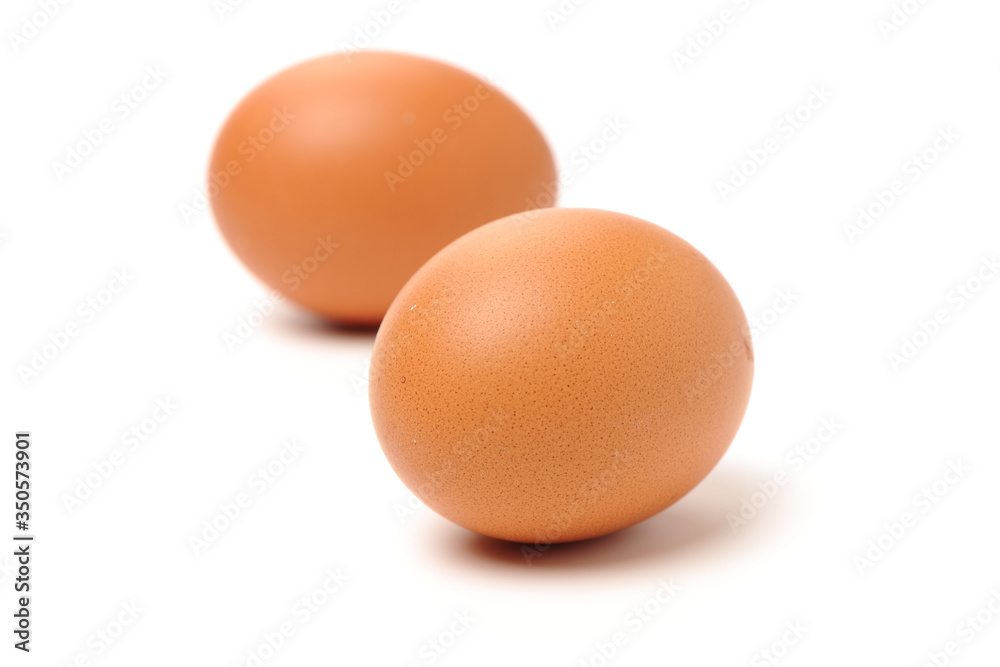 eggs on a white background eggs on a white background
