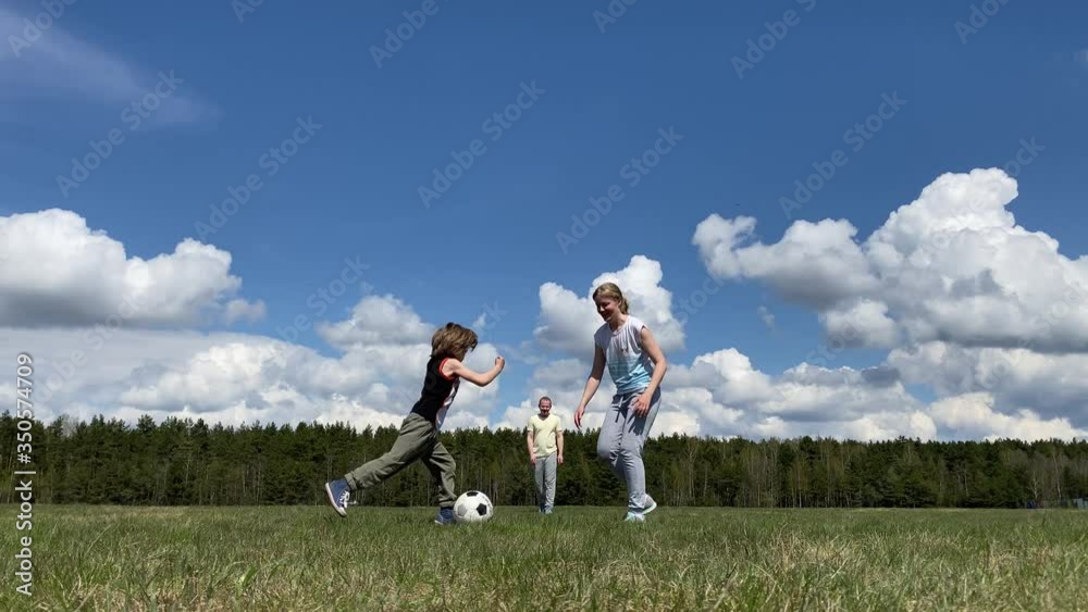healthy lifestyle and love for pets. family with a big dog playing with a ball on the field healthy lifestyle and love for pets. family with a big dog playing with a ball on the field