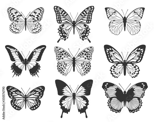 Silhouette of black butterflies. A set of butterflies. © Avilika
