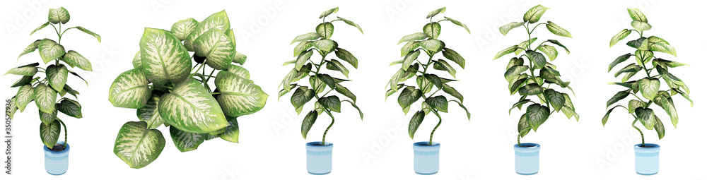 Fototapeta premium Set or collection of beautiful green interior plants isolated on white background. Concept or conceptual 3d illustration for nature and ecology, beauty and gardening, spring or summer