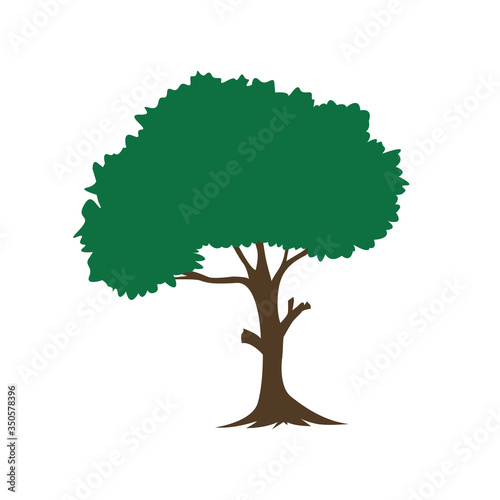 Green tree on the White Background. vector illustration and icon