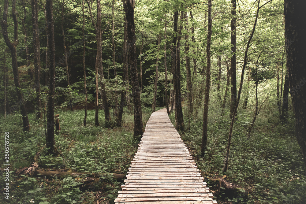 Wooden pathway going through the dense forest at the Plitvice national park, Croatia, Unesco world heritage site Wooden pathway going through the dense forest at the Plitvice national park, Croatia, Unesco world heritage site