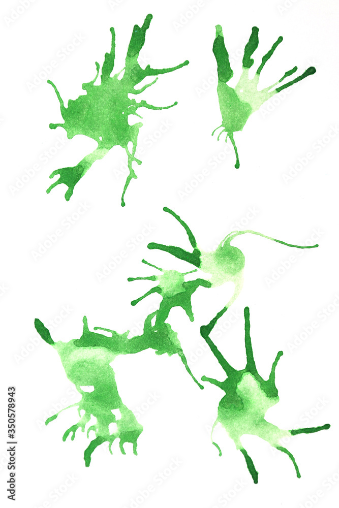 Obraz premium green water color on white background