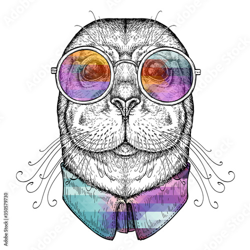 Hand drawn portrait of Funny Seal in glasses. Vector illustration isolated on white