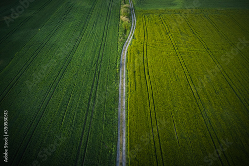 Obraz na płótnie A drone photo of a dirt road between green meadows. Farm in Poland photographed from the air, drone photography, aerial view w salonie