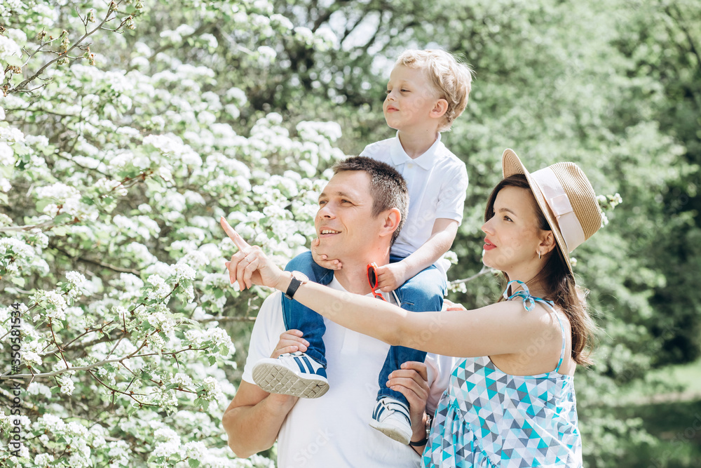 Fototapeta premium A young family and a son walk in nature. Husband and pregnant wife in spring park. happy family outdoor holidays.