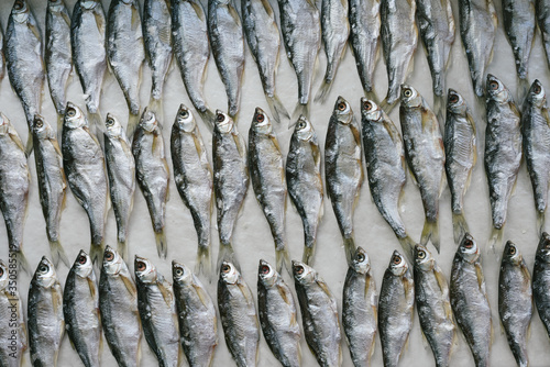 Fish, known as Ukleika (Alburnus alburnus), salted dries in rows. Pattern fish