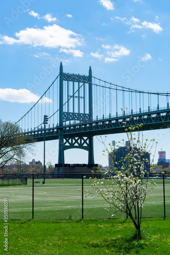 White Flowering Tree in front of the Triborough Bridge at Randalls and Wards Islands in New York City during Spring
