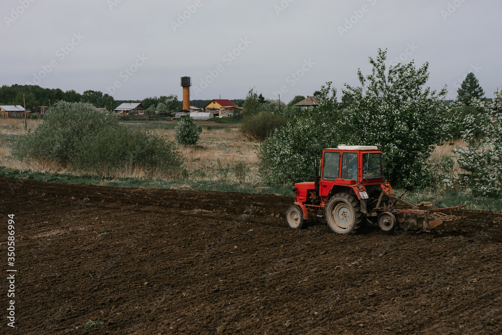 Obraz premium A red tractor plows the ground with a large plow for planting potatoes on a may day next to a blooming Apple tree | KOROVYAKOVA, SVERDLOVSKAYA OBLAST - 9 MAY 2020.