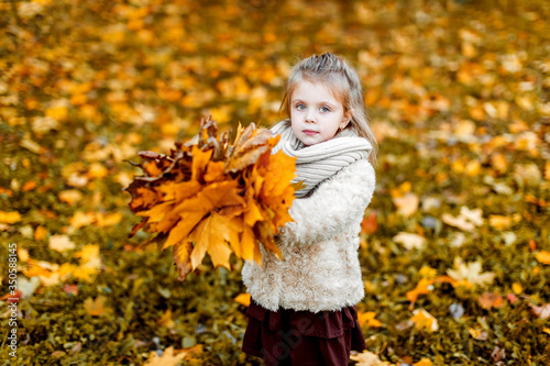 On an autumn day  a girl plays with autumn leaves on a walk. Children s games in autumn.