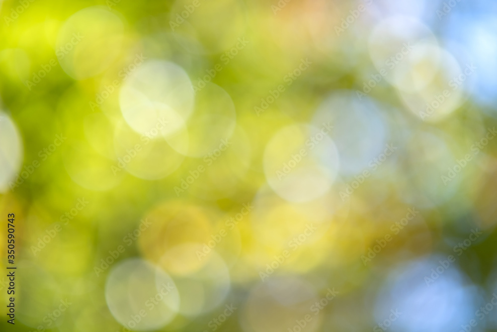 Obraz premium Bright colorful green and yellow background. Blurred light bokeh circles in autumn forest.
