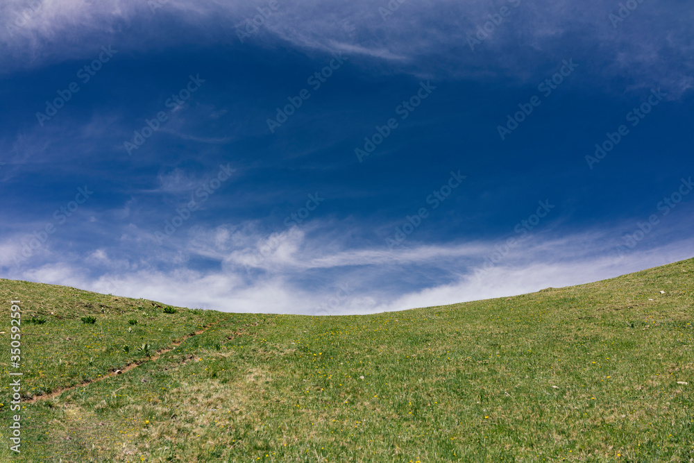 Fototapeta premium Green meadow and blue sky with the clouds.