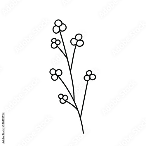  simple one stylized herb branch with round berries. isolated on a white background. Hand drawing sketc h.