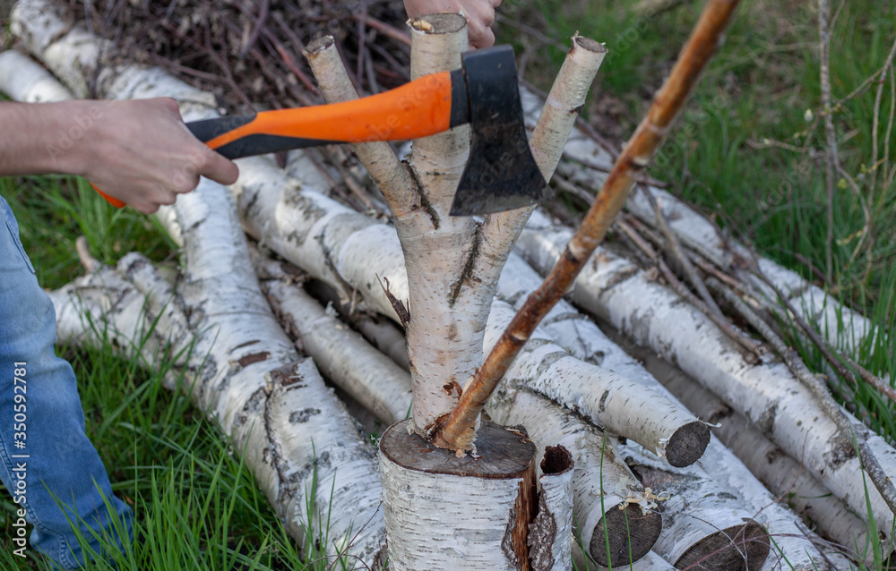 Obraz premium guy with an ax cuts trees.young worker man hand saws with wood.