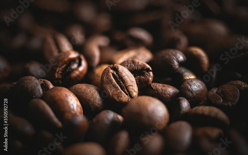 The Coffee Bean