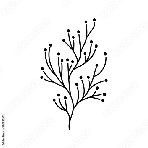 handwritten vector twig with small dots instead of leaves on a white background.grass and branches black and white  logo  logo  emblem.
