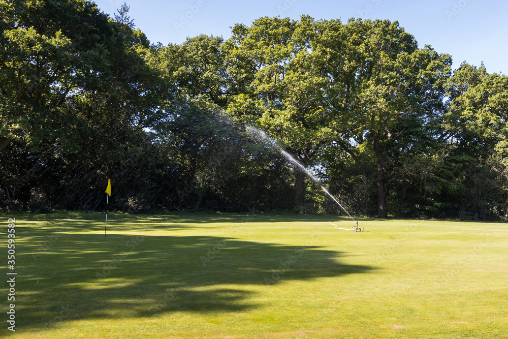 Obraz premium Golf green being watered