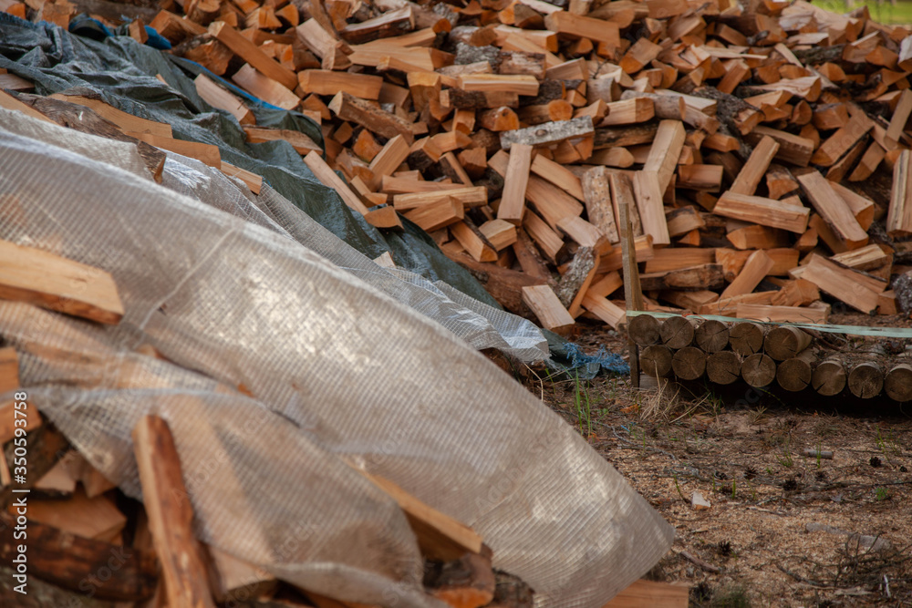 Trees in the sawmill are stacked in bags for sell. Stacks of firewood. Preparation of firewood for the winter. A heap of woodpile. Chopped wood. Firewood.Pile of wood logs ready for winter
Trees in the sawmill are stacked in bags for sell. Stacks of firewood. Preparation of firewood for the winter. A heap of woodpile. Chopped wood. Firewood.Pile of wood logs ready for winter