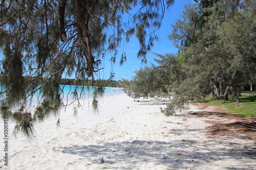 Paysage tropical de bord de plage