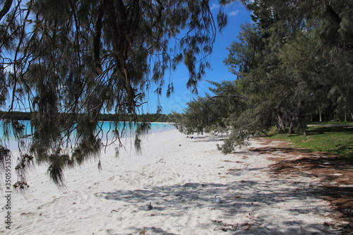 Paysage tropical de bord de plage