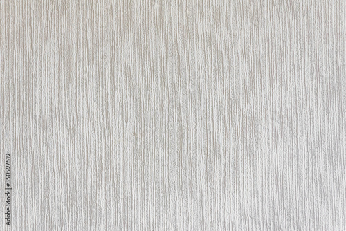 .Abstract White Paint Texture. Background for wallpapers and cards.