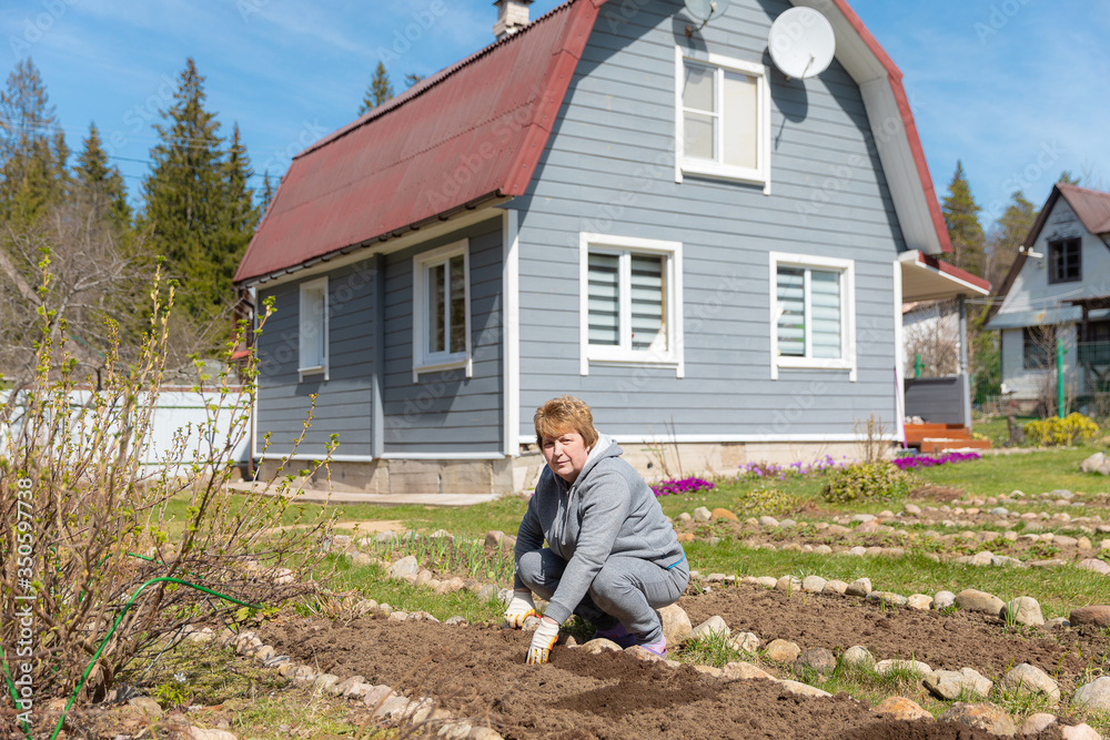 Smiling middle-aged woman gardener planting seeds in a garden in his suburban area Smiling middle-aged woman gardener planting seeds in a garden in his suburban area