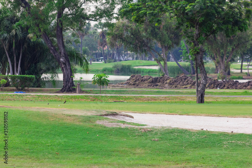 sand mound in golf course with lush grass, are perfect for doing sports during the day