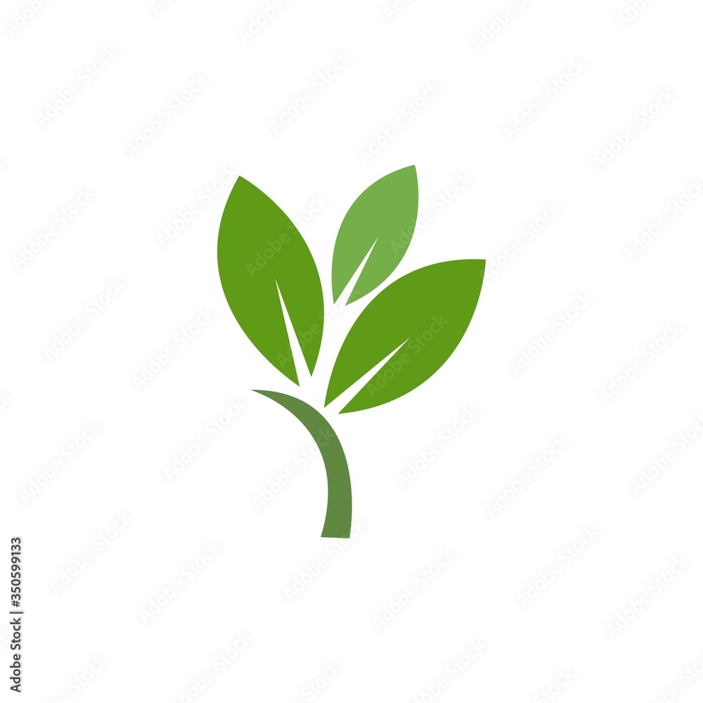 Fototapeta premium leaf logo