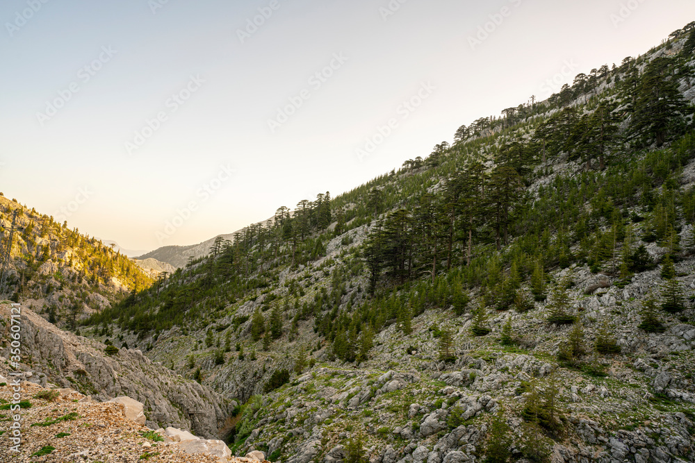 Lake Egrigol (eğrigöl), a hidden gem sitting at 2,350 meters in the foothills of Geyik Mountain in Antalya province, Surrounded by 3 or 4 meters of snow on one side and mountain wild flowers Lake Egrigol (eğrigöl), a hidden gem sitting at 2,350 meters in the foothills of Geyik Mountain in Antalya province, Surrounded by 3 or 4 meters of snow on one side and mountain wild flowers