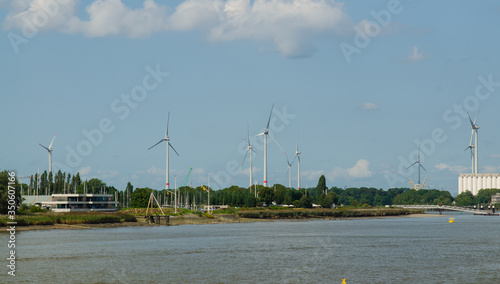 Antwerp, Flanders, Belgium. August 2019. Wind farm on the banks of the Scheldt river. Sunny day.