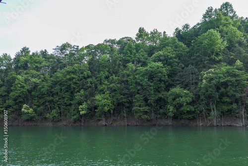 lake and forest Shore full of bamboos and big trees  Quiet shore  covered with bamboo and big trees  the water is very calm  very suitable for fishing