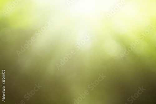Green bokeh sun light on top nature defocus art abstract blur beautyful background