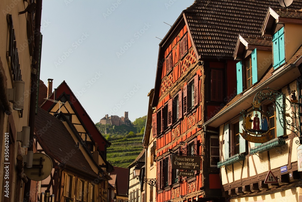 panoramic view of a castle from the village