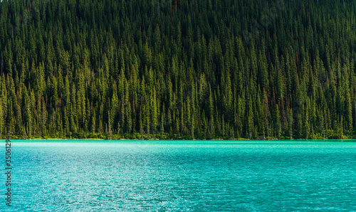nature view around lake Louise, Banff National Park, Alberta, Canada