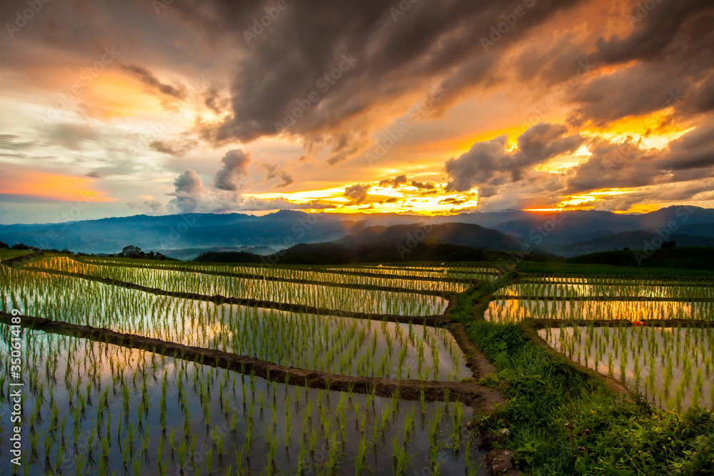 Beautiful landscape view of rice terraces and cottages in the rainy season at sunset and mountain in the background,Pa bong Pieng,Mae Jam, ChiangMai,Thailand