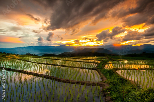 Φωτογραφία Beautiful landscape view of rice terraces and cottages in the rainy season at su