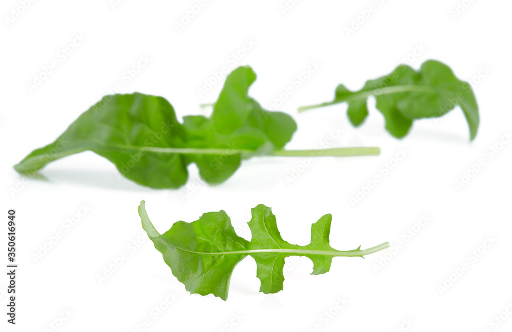 Obraz premium fresh rucola isolated on white background