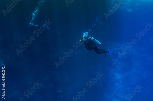 Top view on scuba divers group swimming who exploring deep dark ocean blue water against the backdrop of a coral reef. Male and female in flippers examines the seabed. Dive. Active life. Air bubbles.