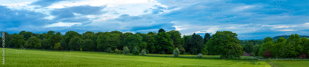 panorama of summer landscape with grass and blue sky