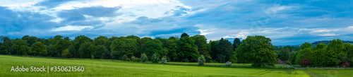 panorama of summer landscape with grass and blue sky