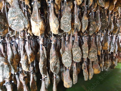 bodega de jamones ibéricos photo