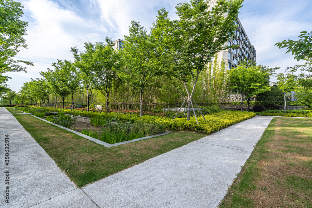 Obraz premium city park