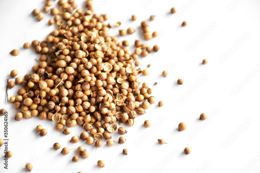 Coriander seeds on a white background
Coriander seeds on a white background