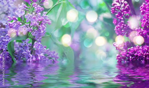 Spring lilac flowers close-up. Reflection in water. Light abstract floral background with bokeh