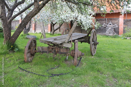 horse cart