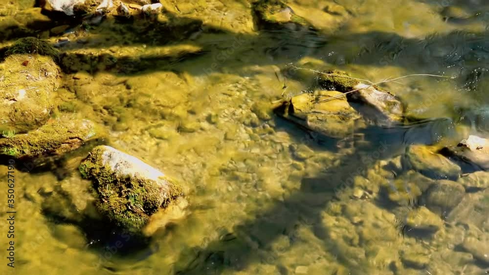Little mountain stream passing over rocky bottom during sunny spring day with natural sound or water flow in background. Little mountain stream passing over rocky bottom during sunny spring day with natural sound or water flow in background.