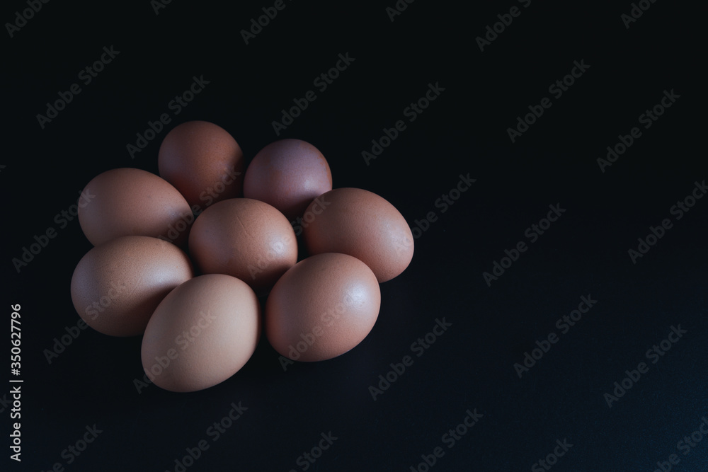 chicken eggs on black background. Eggs with copy space concept.Eggs with copy space concept chicken eggs on black background. Eggs with copy space concept.Eggs with copy space concept